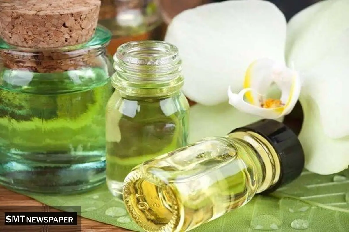 محصولات شرکت دانش بنیان طعم و عطر ماگنولیا