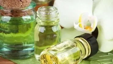 محصولات شرکت دانش بنیان طعم و عطر ماگنولیا