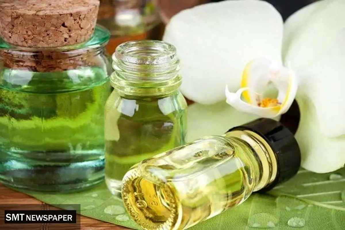محصولات شرکت دانش بنیان طعم و عطر ماگنولیا
