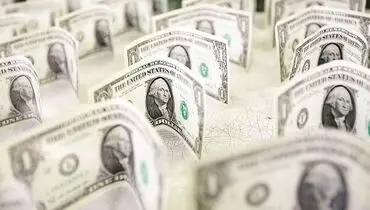 دولت مجبور به مداخله در تعیین نرخ ارز است
