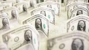 دولت مجبور به مداخله در تعیین نرخ ارز است