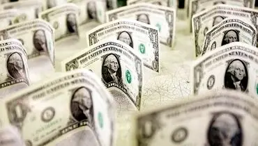دولت مجبور به مداخله در تعیین نرخ ارز است