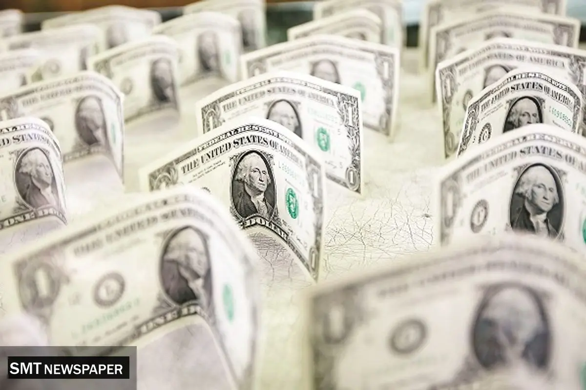 دولت مجبور به مداخله در تعیین نرخ ارز است