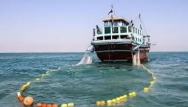 ظرفیت بالای هرمزگان برای تبدیل شدن به قطب شیلات در منطقه
