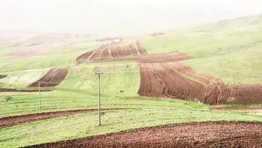 تامین امنیت غذایی با اصلاح الگوی کشت