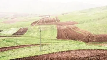 تامین امنیت غذایی با اصلاح الگوی کشت