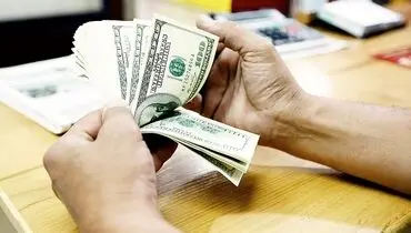 زور فرزین هم به دلار نرسید
