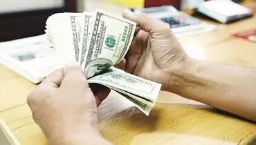 زور فرزین هم به دلار نرسید