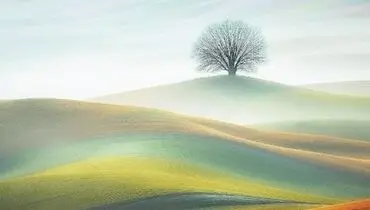 آرامشی در طبیعت