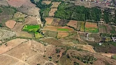 امنیت غذایی در گرو یکپارچه سازی اراضی کشاورزی / کمر کشاورزان زیر بار مالیات خم می شود