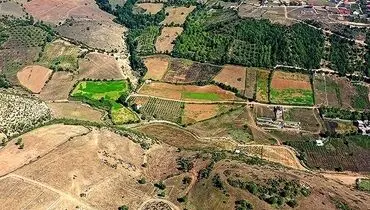 امنیت غذایی در گرو یکپارچه سازی اراضی کشاورزی / کمر کشاورزان زیر بار مالیات خم می شود