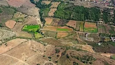 امنیت غذایی در گرو یکپارچه سازی اراضی کشاورزی / کمر کشاورزان زیر بار مالیات خم می شود