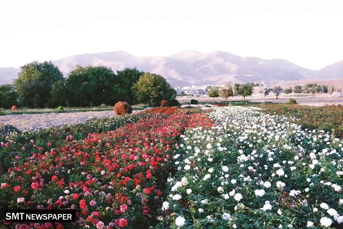 ارزشمند اما بی‌اعتبار