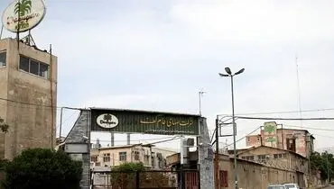 نـخـل سـبـز خـشـک شـد 