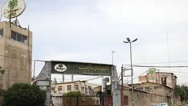 نـخـل سـبـز خـشـک شـد 