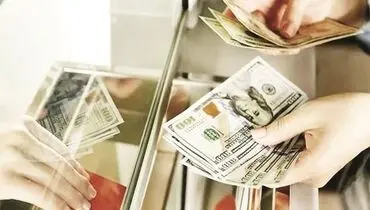 تخصیص ارز مسافری متوقف نشد