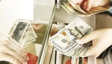 تخصیص ارز مسافری متوقف نشد