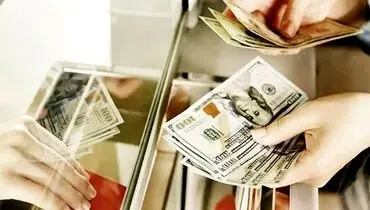 تخصیص ارز مسافری متوقف نشد