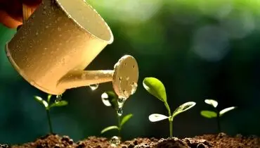 پایداری صنعت‌ غذایی در گرو افزایش تولید محصولات‌ کشاورزی