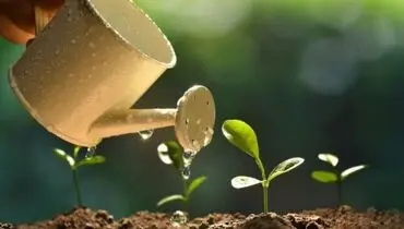 پایداری صنعت‌ غذایی در گرو افزایش تولید محصولات‌ کشاورزی
