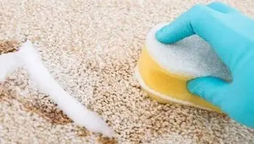 طرز استفاده از شامپوفرش چگونه است ؟