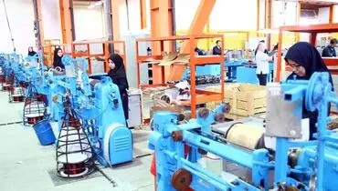 نقش‌آفرینی بانوان در اقتصاد