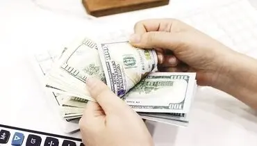 ارز سامانه «ناخدا» به بازار می‌آید