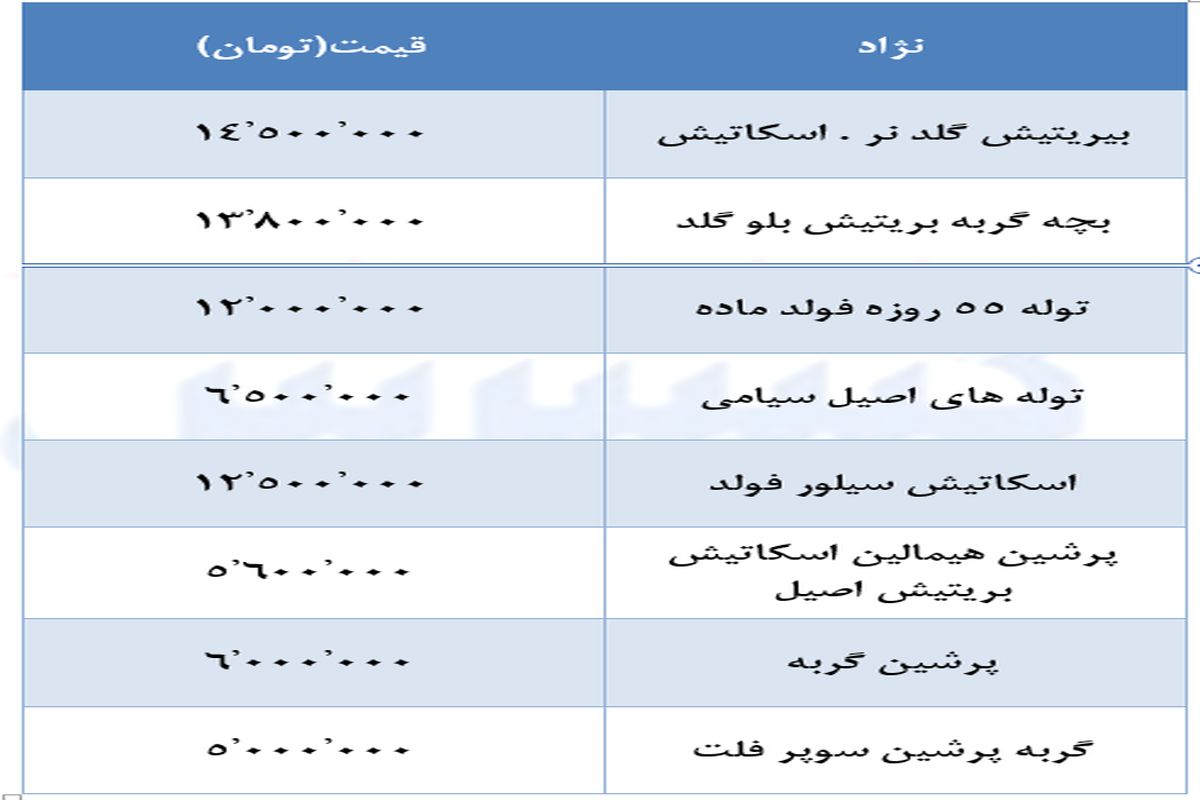 قیمت نجومی انواع گربه های خانگی + جدول