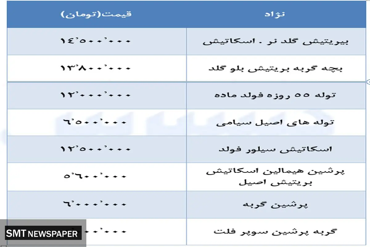 قیمت نجومی انواع گربه های خانگی + جدول