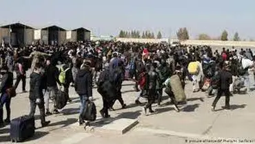 فغان از مهاجران