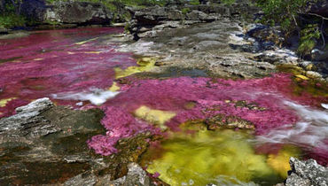 رودخانه عجیبی که ۵ رنگ دارد + تصاویر