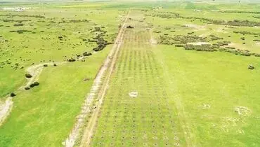 بازپس‌گیری زمین؛ مکمل ابطال مجوز پتروشیمی میانکاله