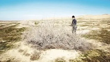 خشک مثل ایران