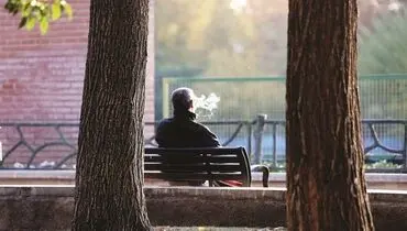 مساله‌ای به نام غذا یا توتون!