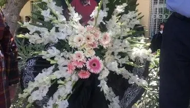 مراسم خاکسپاری بهمن مفید با حضور هنرمندان بزرگ سینما+عکس