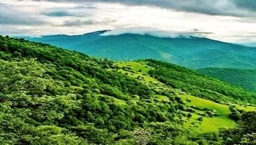رونق اشتغال سبز در زاگرس