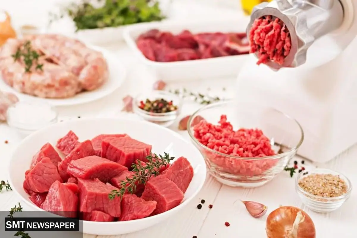 واقعیت های گوشت آزمایشگاهی
