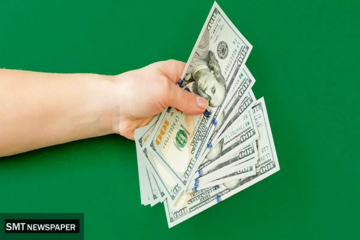 ارز مسافرتی چیست | نکات مهم در استفاده از ارز مسافرتی