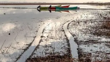 تشنه، چو تالاب‌های ایران