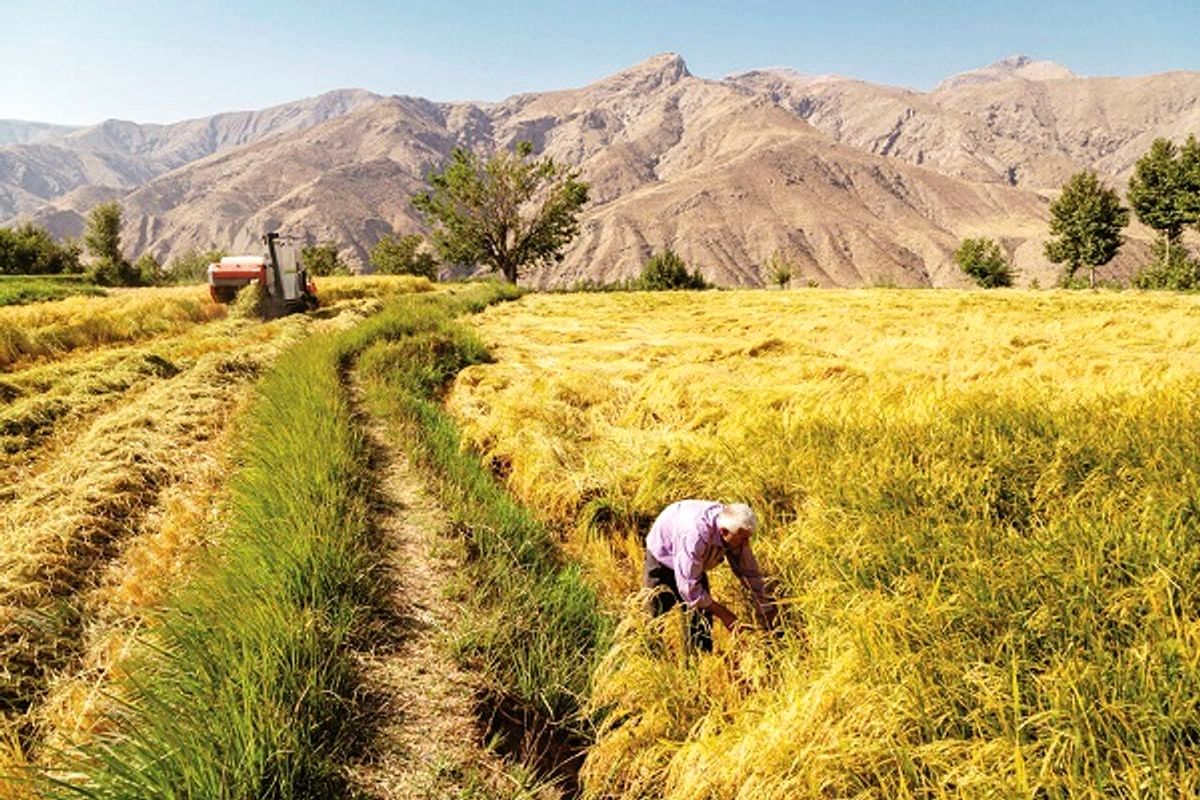 مجلس پیگیر دغدغه‌های کشاورزان باشد