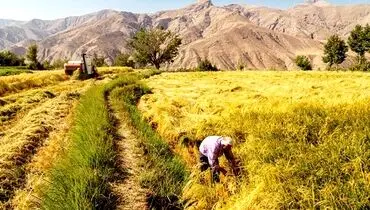 مجلس پیگیر دغدغه‌های کشاورزان باشد