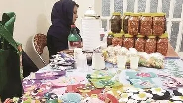 رشد اعتبارات در حوزه مشاغل خانگی