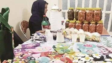 رشد اعتبارات در حوزه مشاغل خانگی