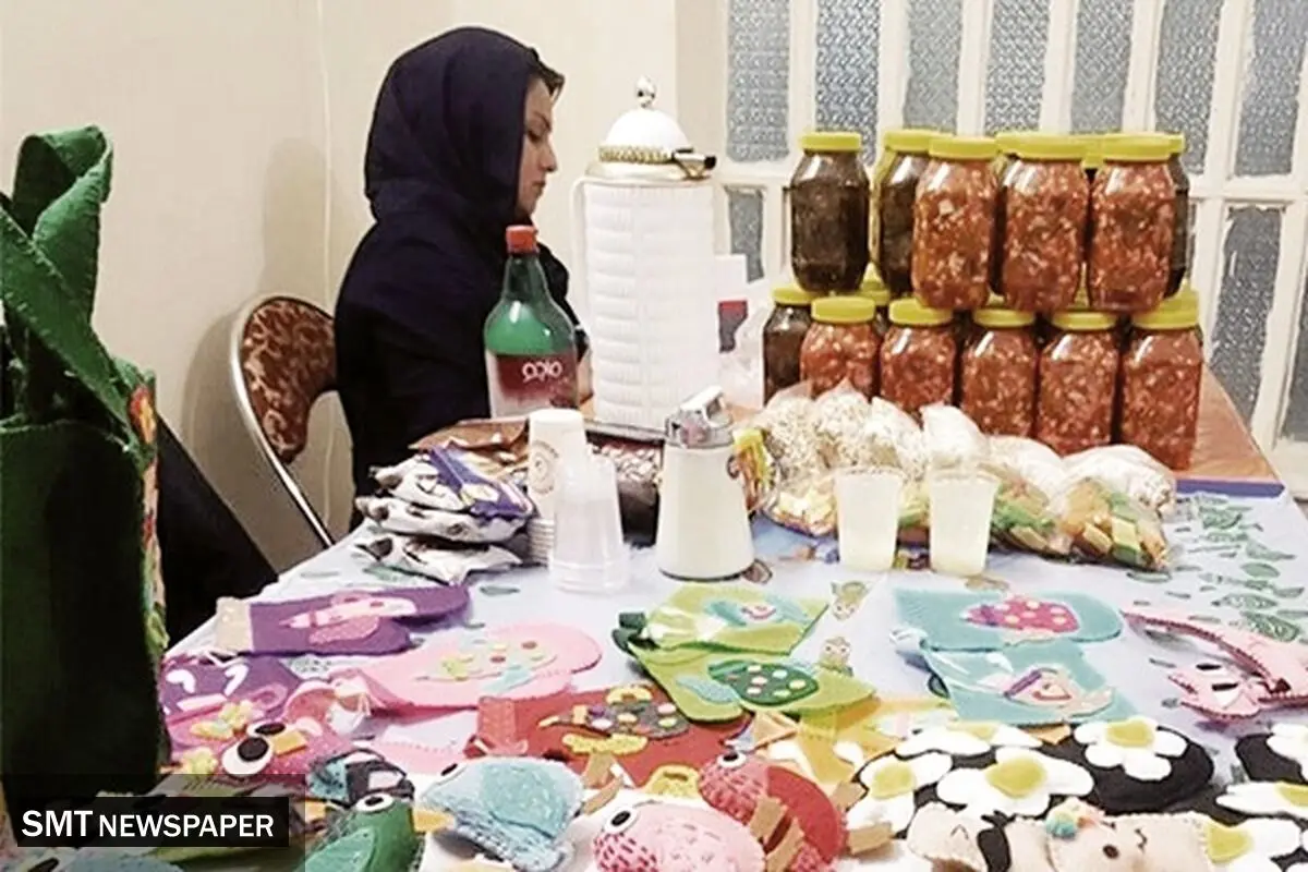 رشد اعتبارات در حوزه مشاغل خانگی