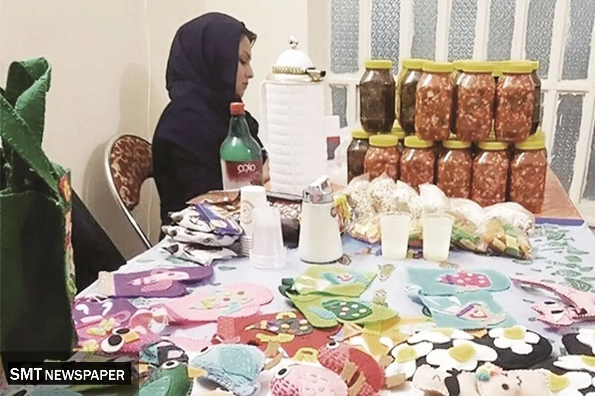 رشد اعتبارات در حوزه مشاغل خانگی