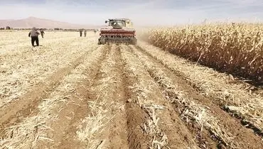 در ابتدای مسیر تدوین الگوی کشت هستیم