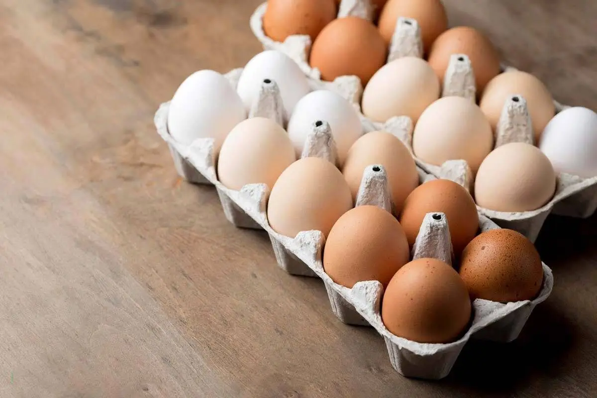 تخممرغ شکار بعدی گرانیها