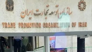 تسهیل صادرات و رفع تعهدات ارزی در دستور کار سازمان توسعه تجارت قرار گیرد