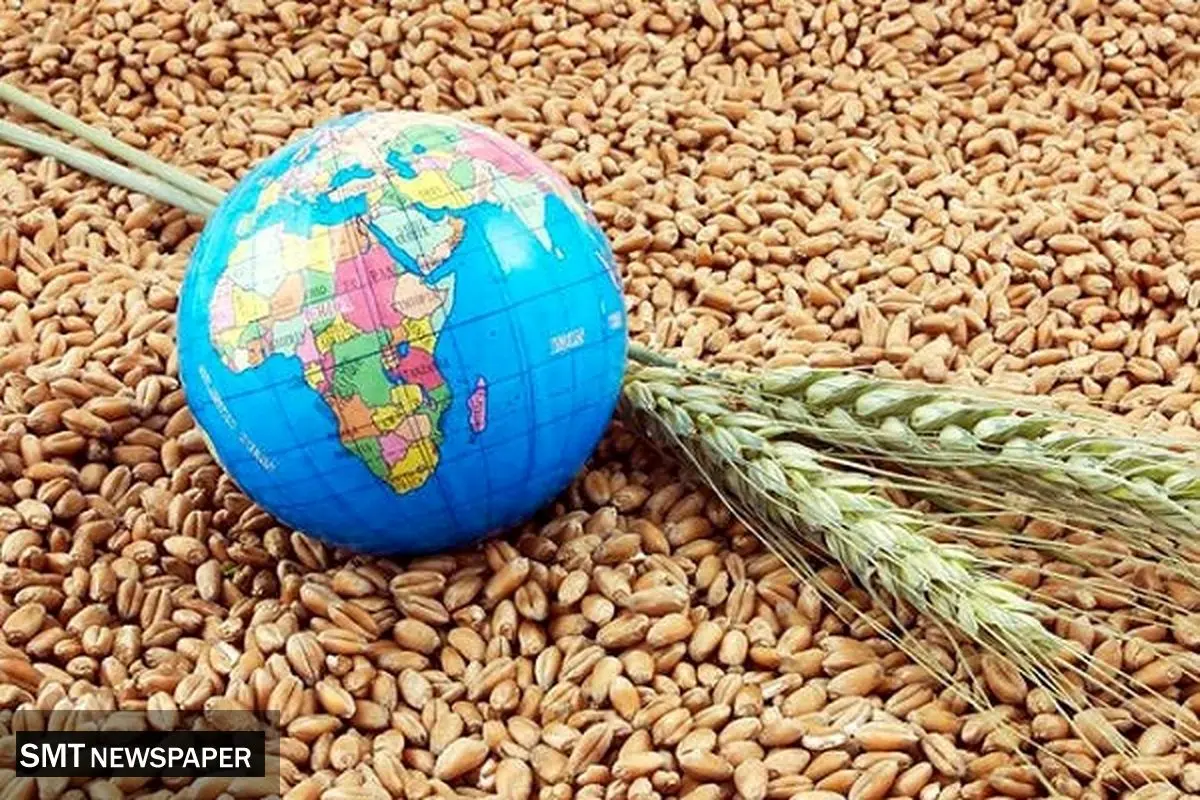امنیت غذایی تامین میشود؟