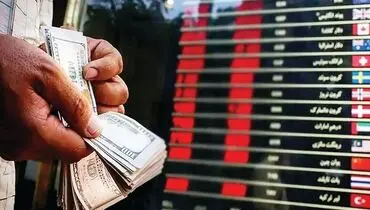 سپردن قیمت‌گذاری ارز به بازار رها کردن اقتصاد است